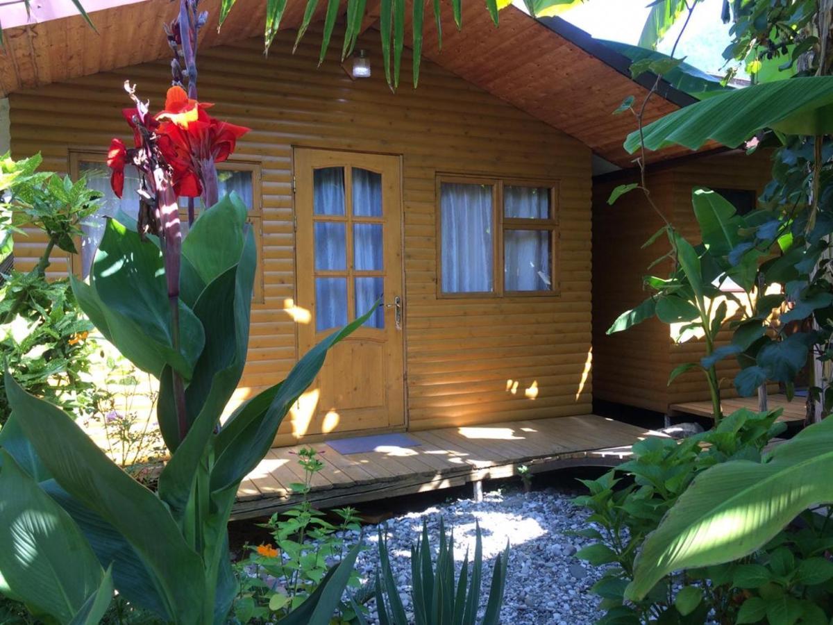 Hotel Гостевой Дом У Левы Gagra Exterior foto