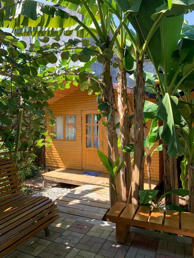 Hotel Гостевой Дом У Левы Gagra Exterior foto