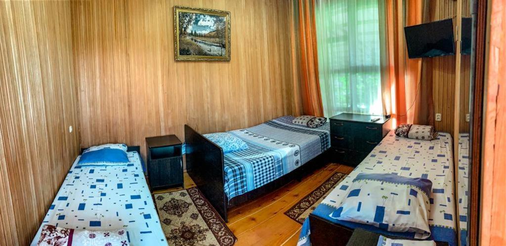 Hotel Гостевой Дом У Левы Gagra Exterior foto